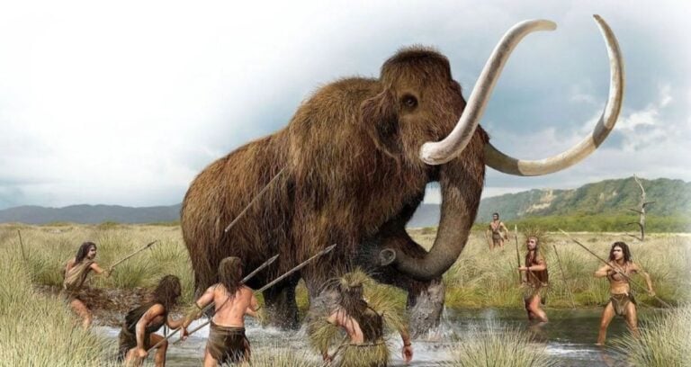 Woolly Mammoth Extinction Featured