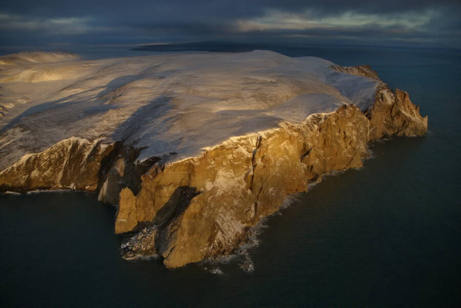 Wrangel Island Today