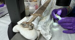 Anglo Saxon Sword Kent England Featured