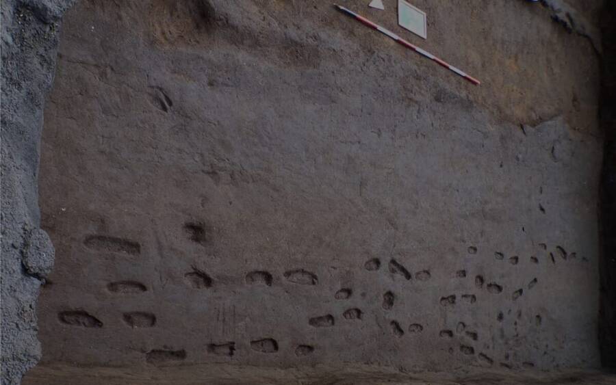 Bronze Age Vesuvius Footsteps