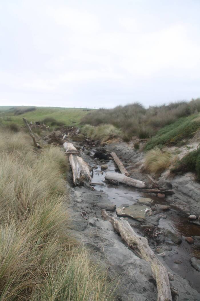 Chatham Island Moriori Canoe