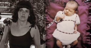 Dingo Ate My Baby Featured