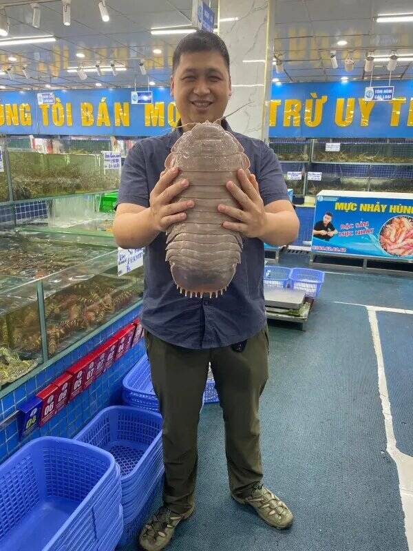 Scientist Holding Isopod