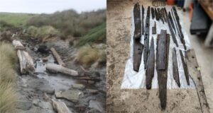 Featured Waka Canoe Discovery