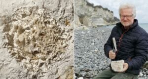 Fossilized Vomit Alongside Peter Bennicke Featured