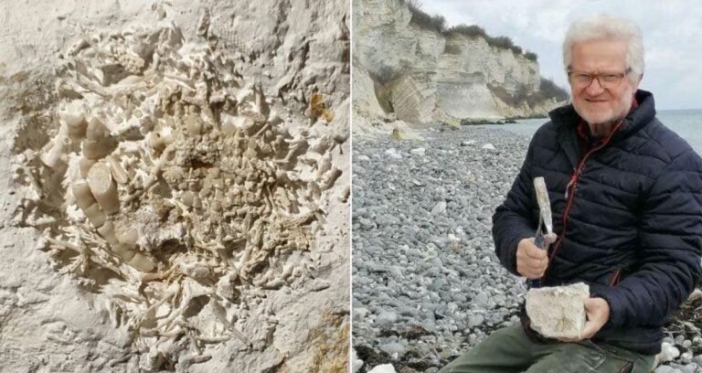 Fossilized Vomit Alongside Peter Bennicke Featured