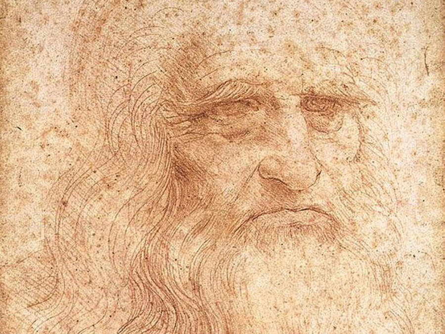 Leonardo Da Vinci's Self Portrait