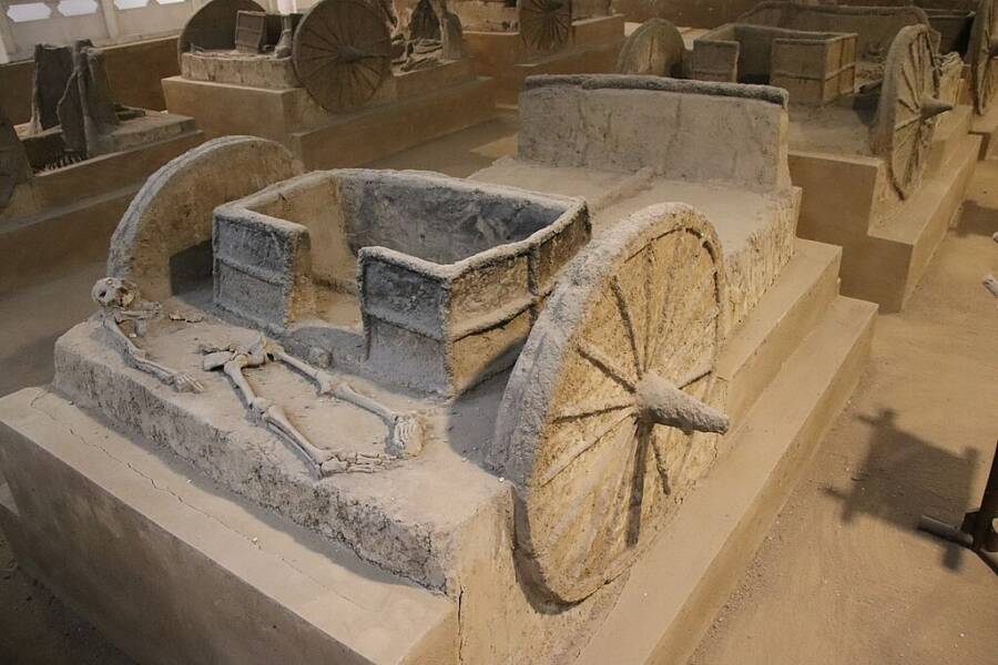 Shang Dynasty Chariot