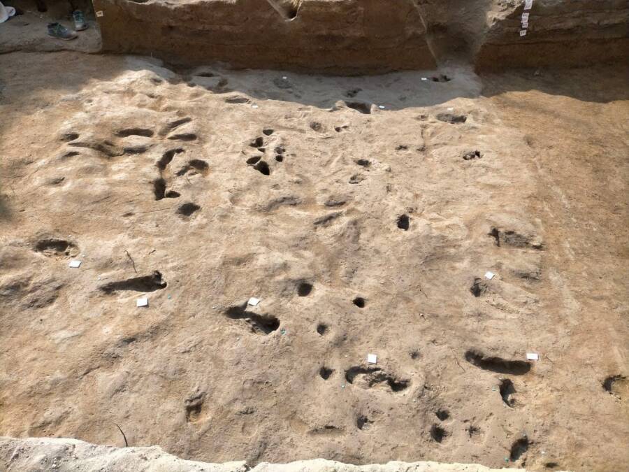 Vesuvius Eruption Bronze Age Footprints