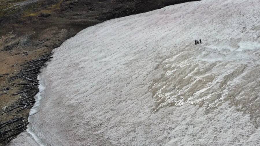 Wyoming Ice Patch Forest