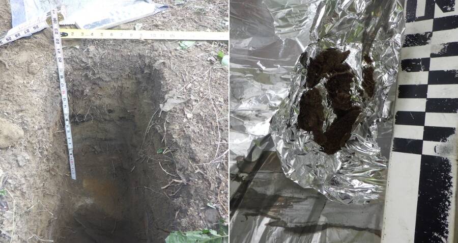 1,000-Year-Old Indigenous Food Cache Found In Alaska