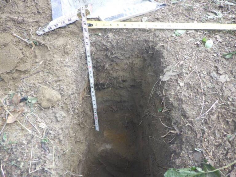 1,000-Year-Old Indigenous Food Cache Found In Alaska