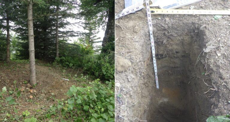 1000 Year Old Food Cache Alaska Featured