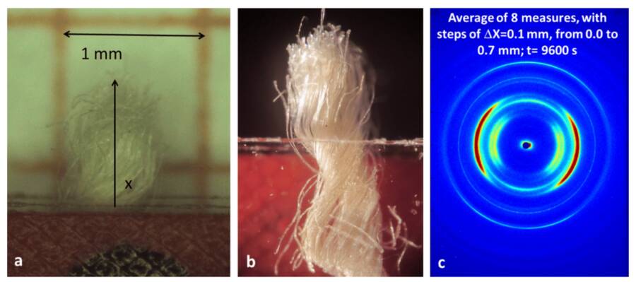 Analysis Of Shroud Of Turin Fabric