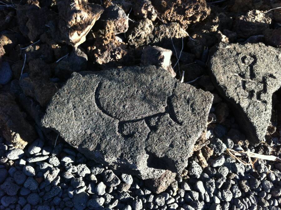 Ancient Hawaiian Petroglyph Of A Dog