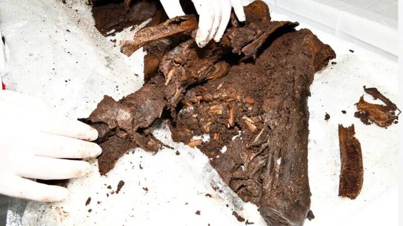 Bellaghy Bog Body Remains