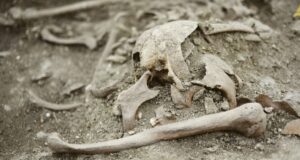 Croatian Vampire Grave Featured