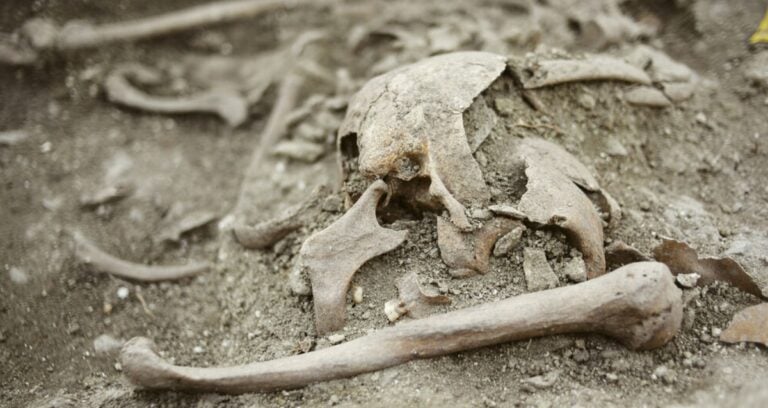 Croatian Vampire Grave Featured