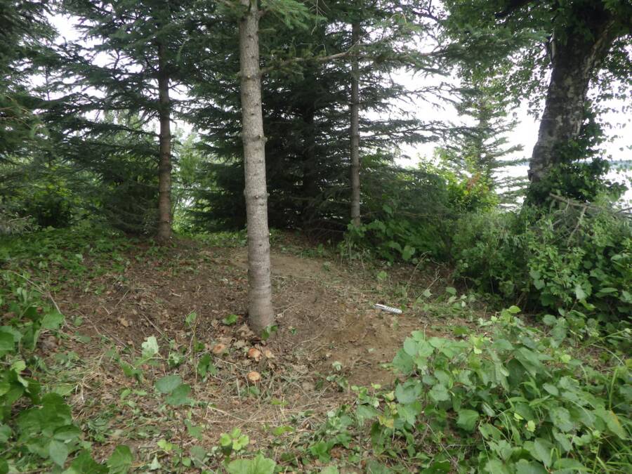 Dene Food Cache Site Along Upper Cook Inlet