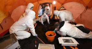 Irish Bog Body Featured Image