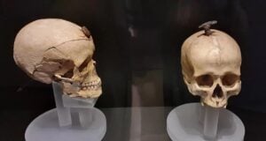 Iron Age Skulls Featured