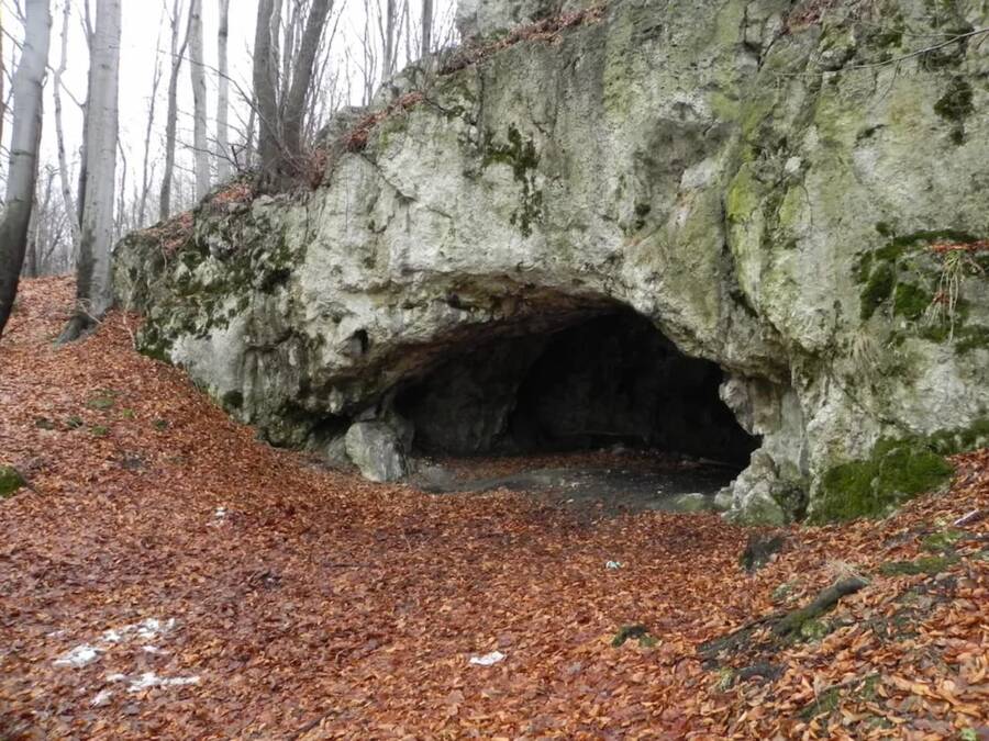 Maszycka Cave Poland Prehistoric Cannibalism