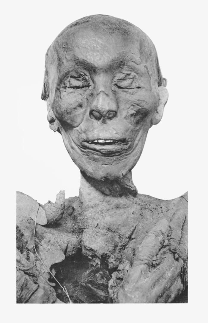 Mummified Head Of Thutmose II