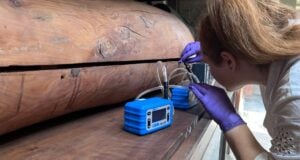 Mummy Scent Study Featured