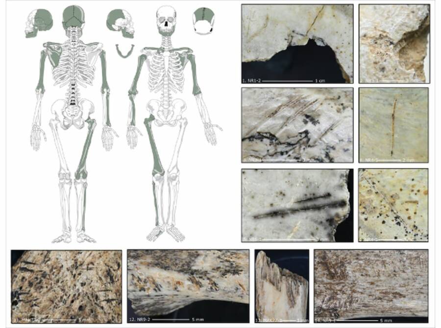 Polish Cannibalism Bone Marks