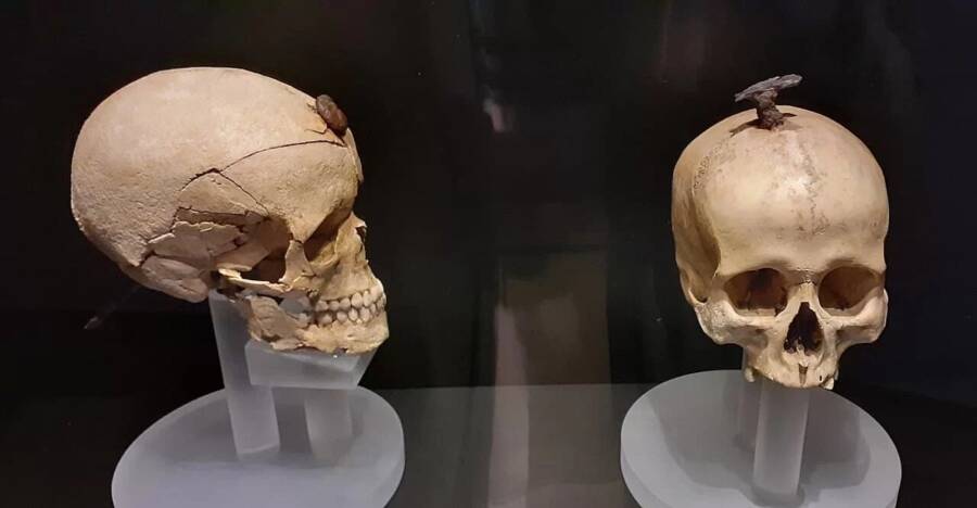 Puig Castellar Iron Age Skulls