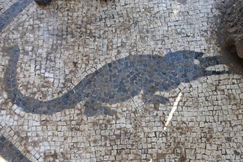 Roman Crocodile Mosaic