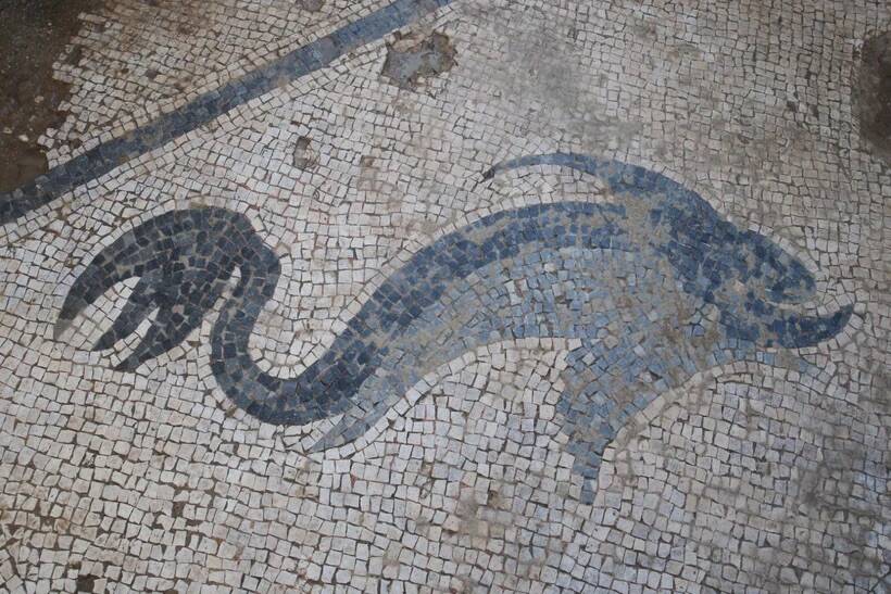 Roman Dolphin Mosaic