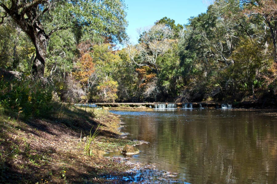 Steinhatchee River Sinkhole Prehistoric Fossils