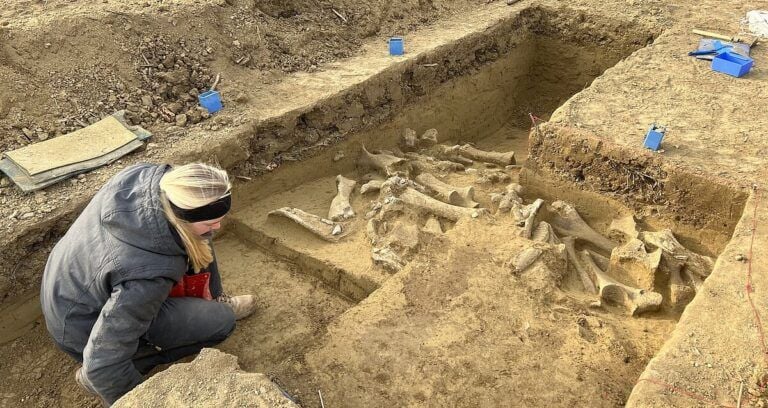 Austria Mammoth Bones Featured