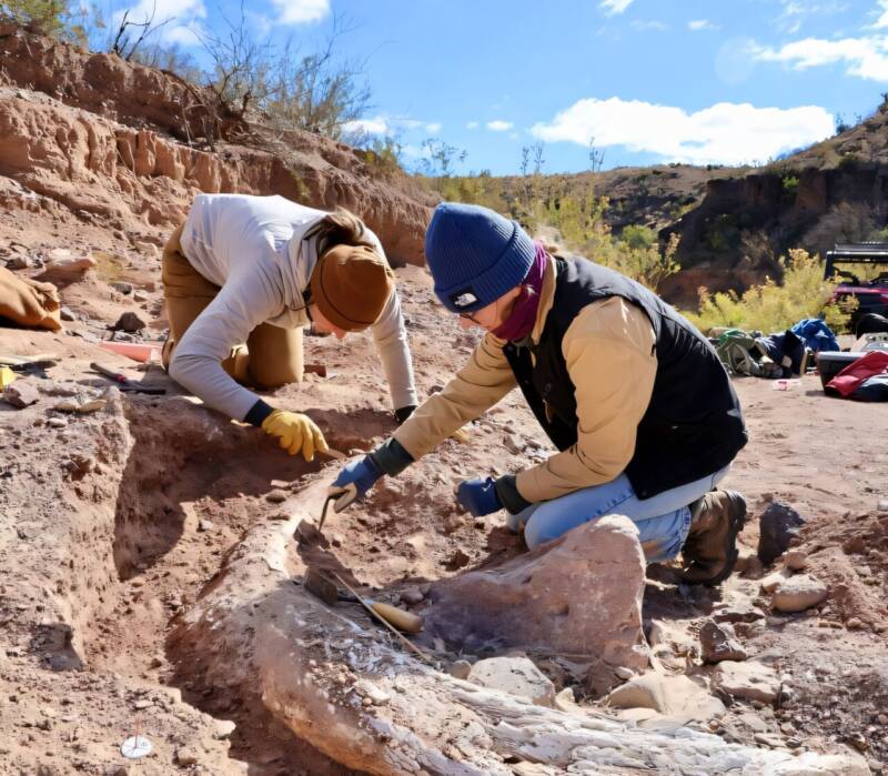 West Texas Ranch Mammoth Tusk