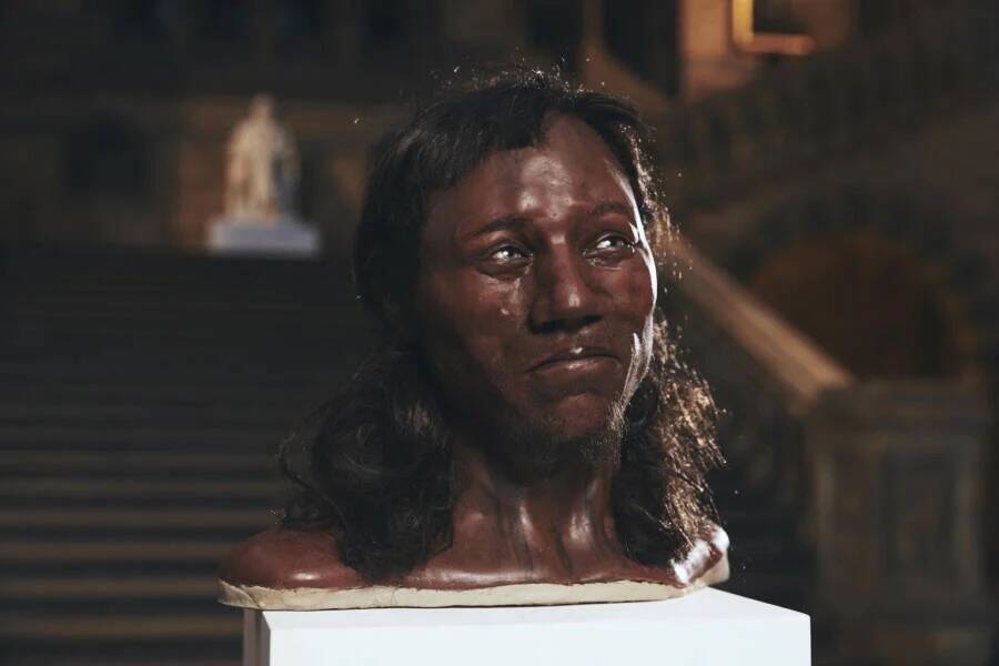 Cheddar Man