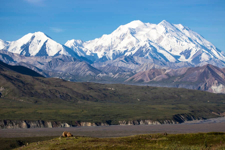 Denali Mount McKinley