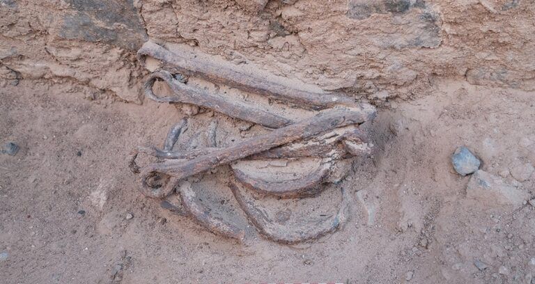 Egyptian Gold Mine Shackles Featured