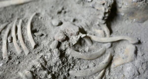 Pagapond Ancient Skeleton Featured Image