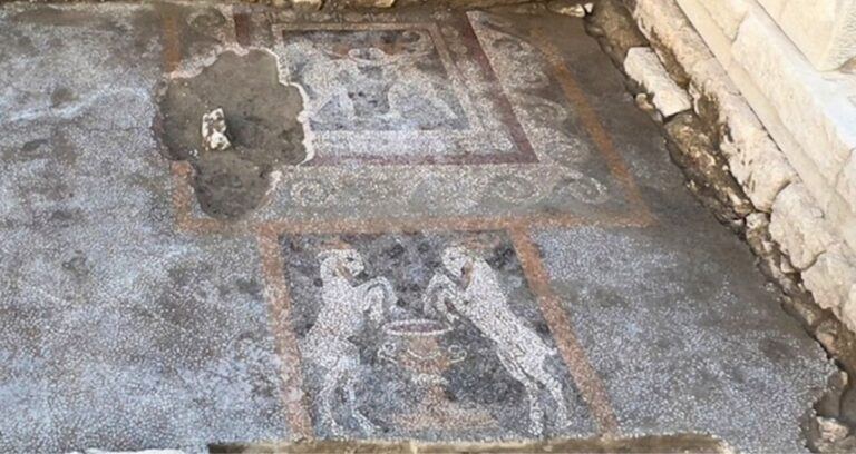 Teos Turkiye Mosaics Featured