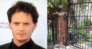 Anton Yelchin Death Featured