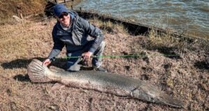 Art Weston With Alligator Gar Featured