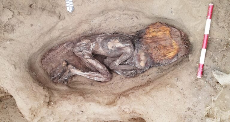 Caral Noblewoman Burial Featured