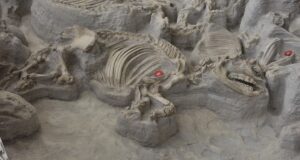Featured Prehistoric Rhino In Nebraska