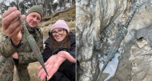 Metal Detectorists Alongside Dagger Featured