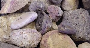 Tyrian Purple Factory Featured