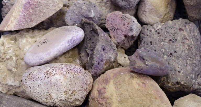 Tyrian Purple Factory Featured