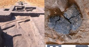 5000 Year Old Bread Featured