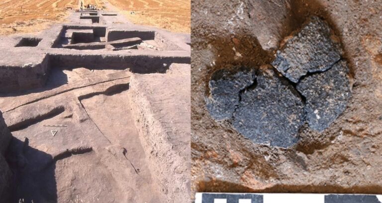 5000 Year Old Bread Featured