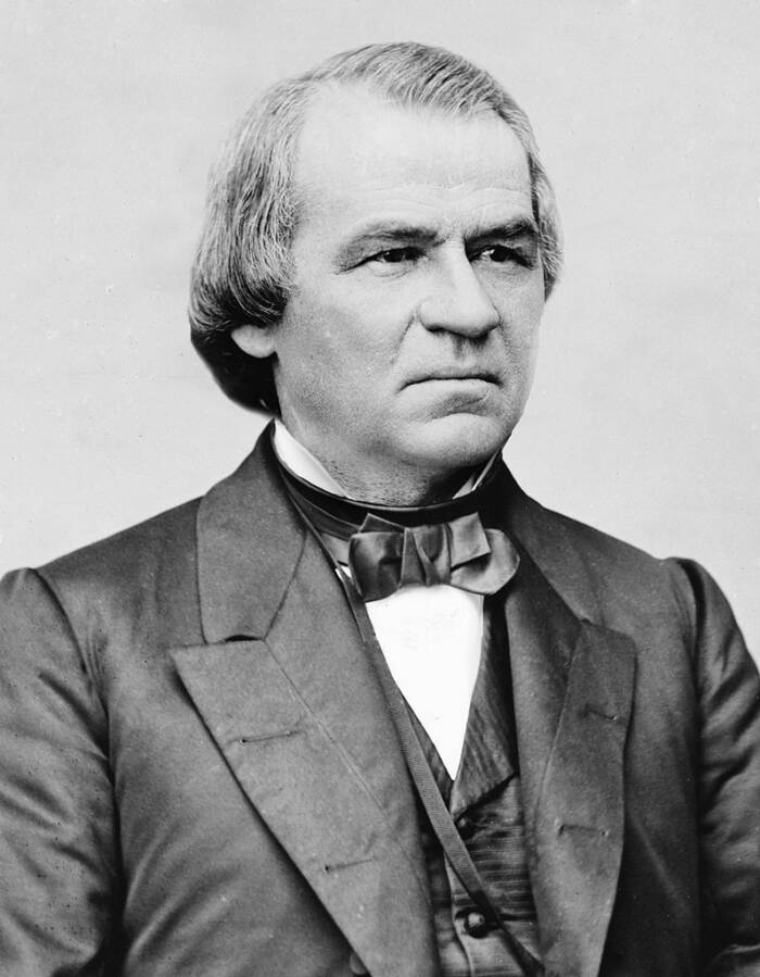 Andrew Johnson Portrait
